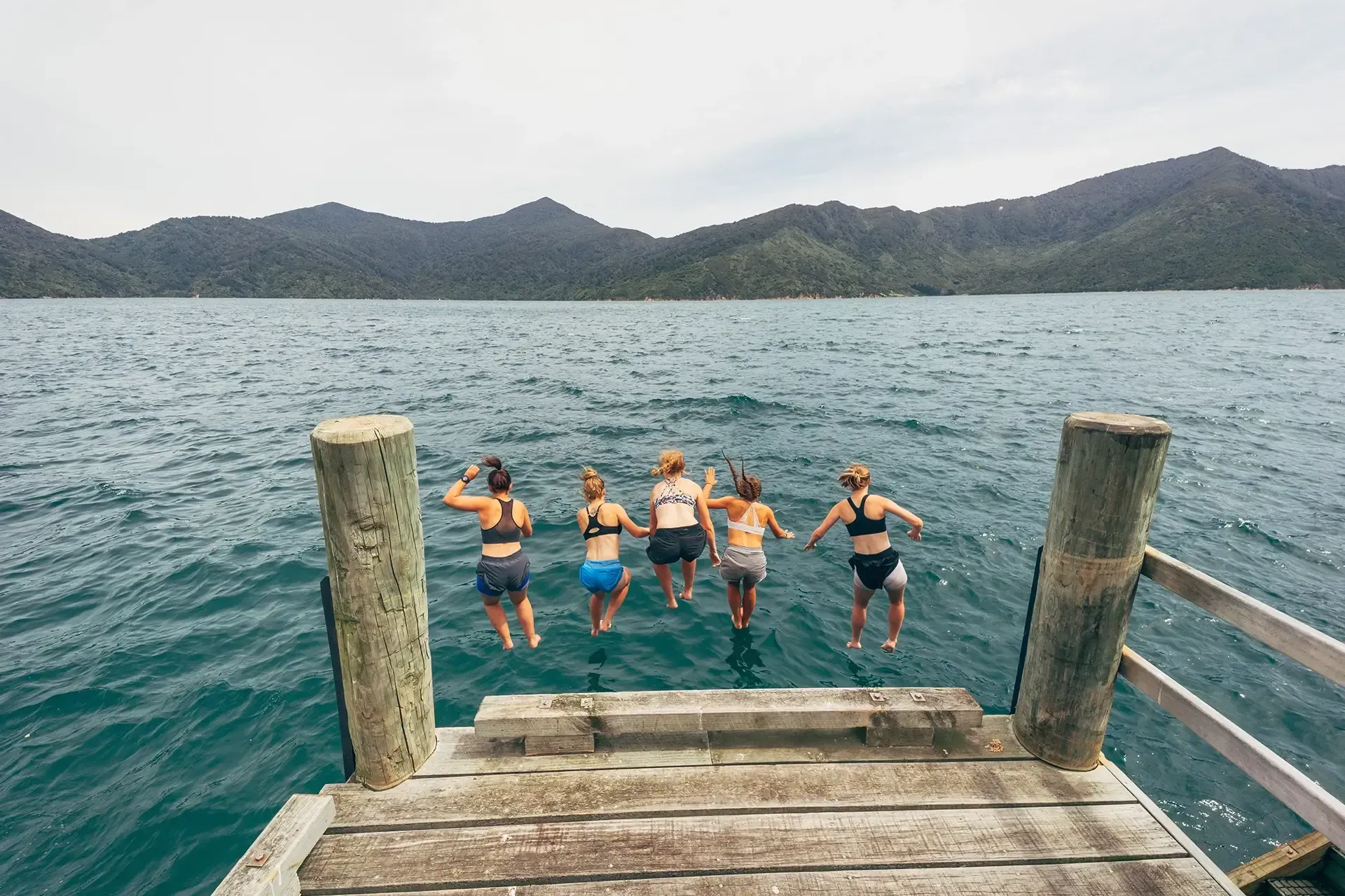 Best Time To Visit The Pelorus Sounds in Marlborough, NZ