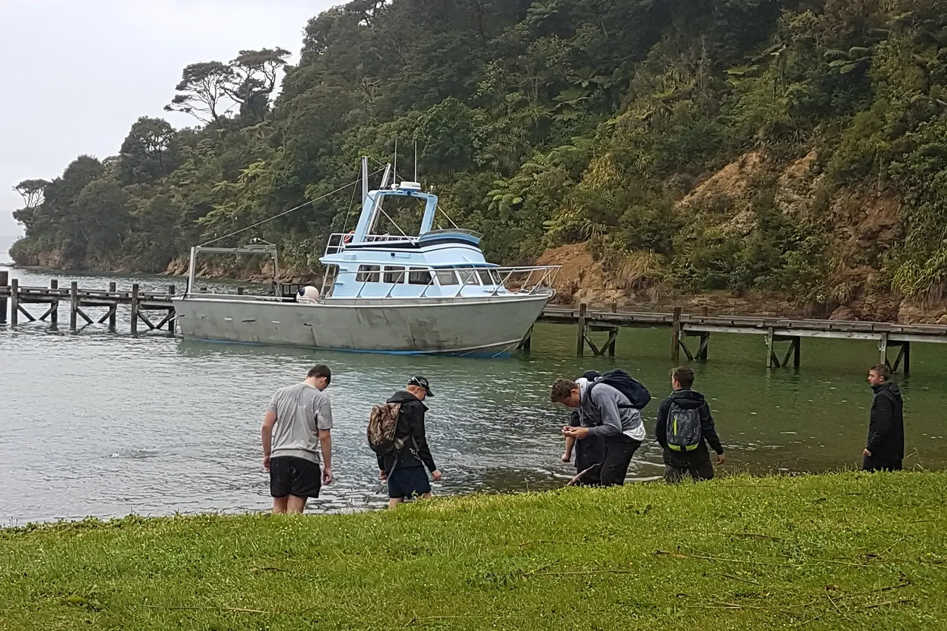 Pelorus Tours | Discover Pelorus Sounds