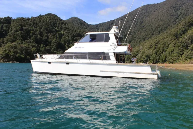 Blue Safari Charters - Scenic Cruises – D’Urville Island / Marlborough Sounds.