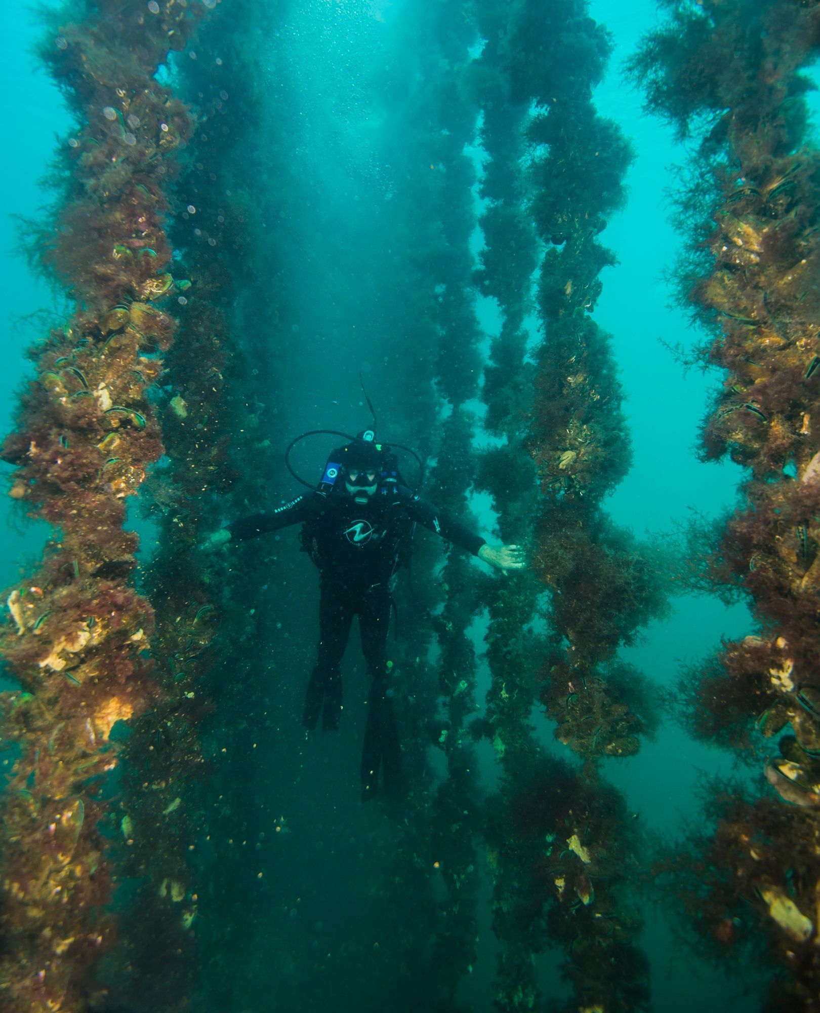 The Heritage of The Pelorus Sounds