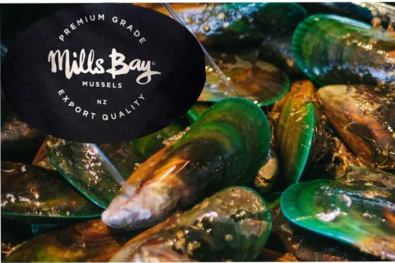 Mills Bay Mussels in Havelock, Marlborough, New Zealand
