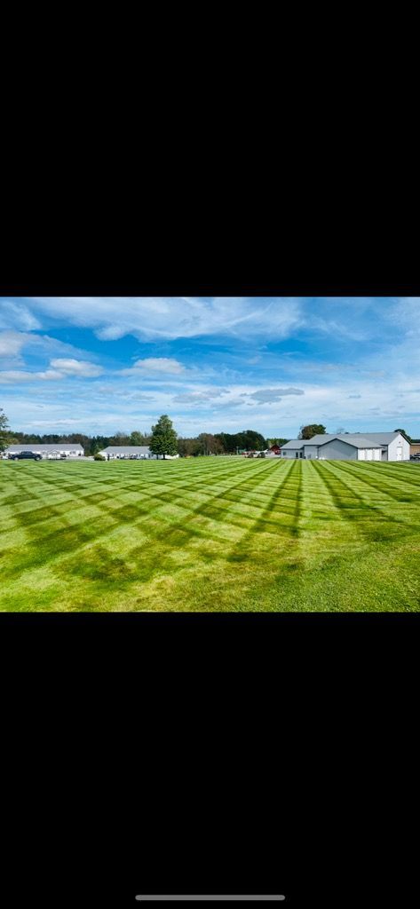 A large lush green field with a blue sky in the background.