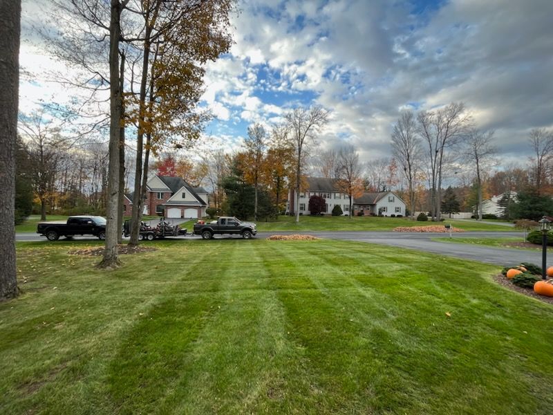 A lush green lawn with pumpkins in the foreground and a house in the background.