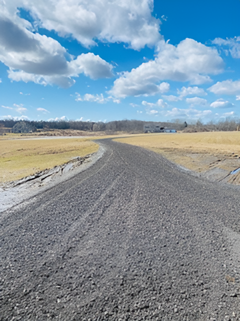 A dirt road going through a field on a cloudy day