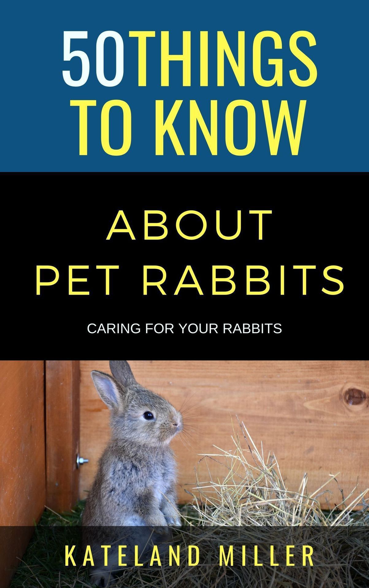 50 Things to Know About Pet Rabbits 