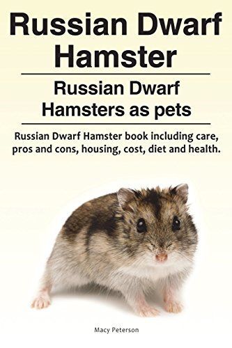 Dwarf Hamster - Facts and Beyond