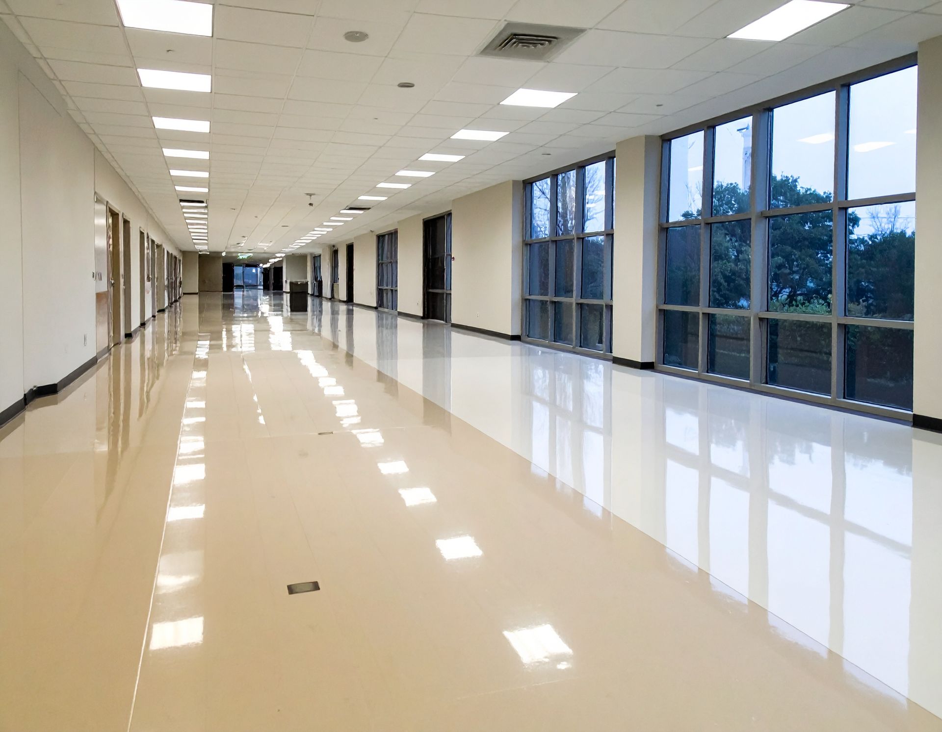 Empty, brightly lit school hallway with shiny floor, windows on right side, and doors on left side.