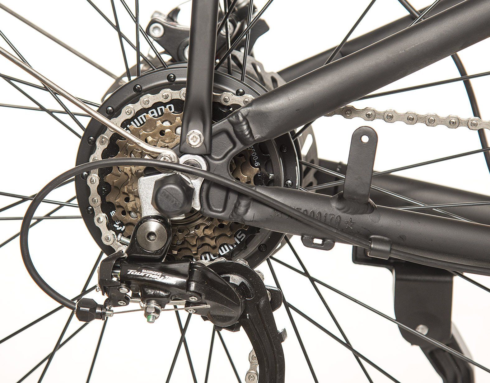 ingranaggi Surfy Daily