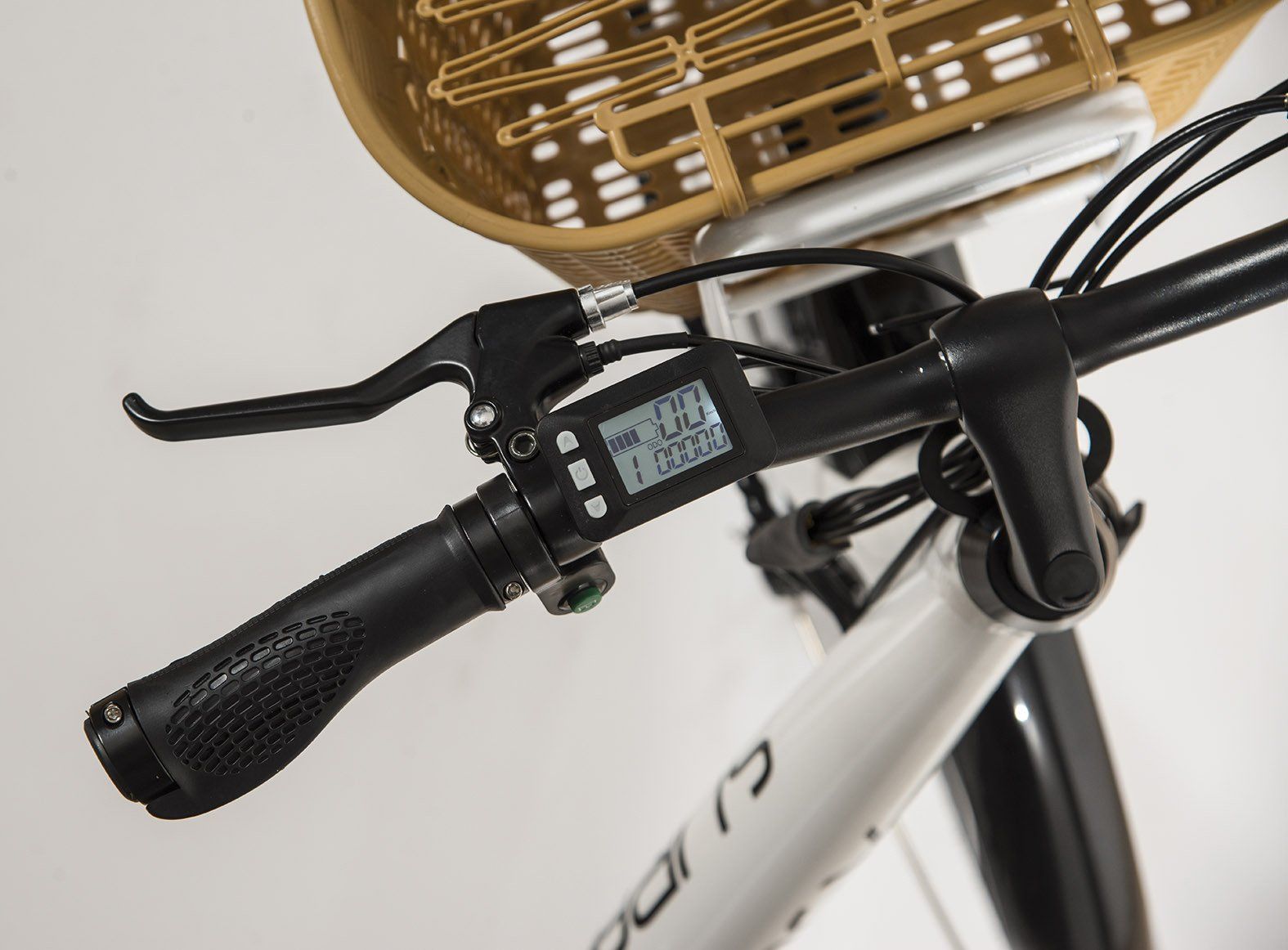 bici elettrica Surfy Daily con cestino