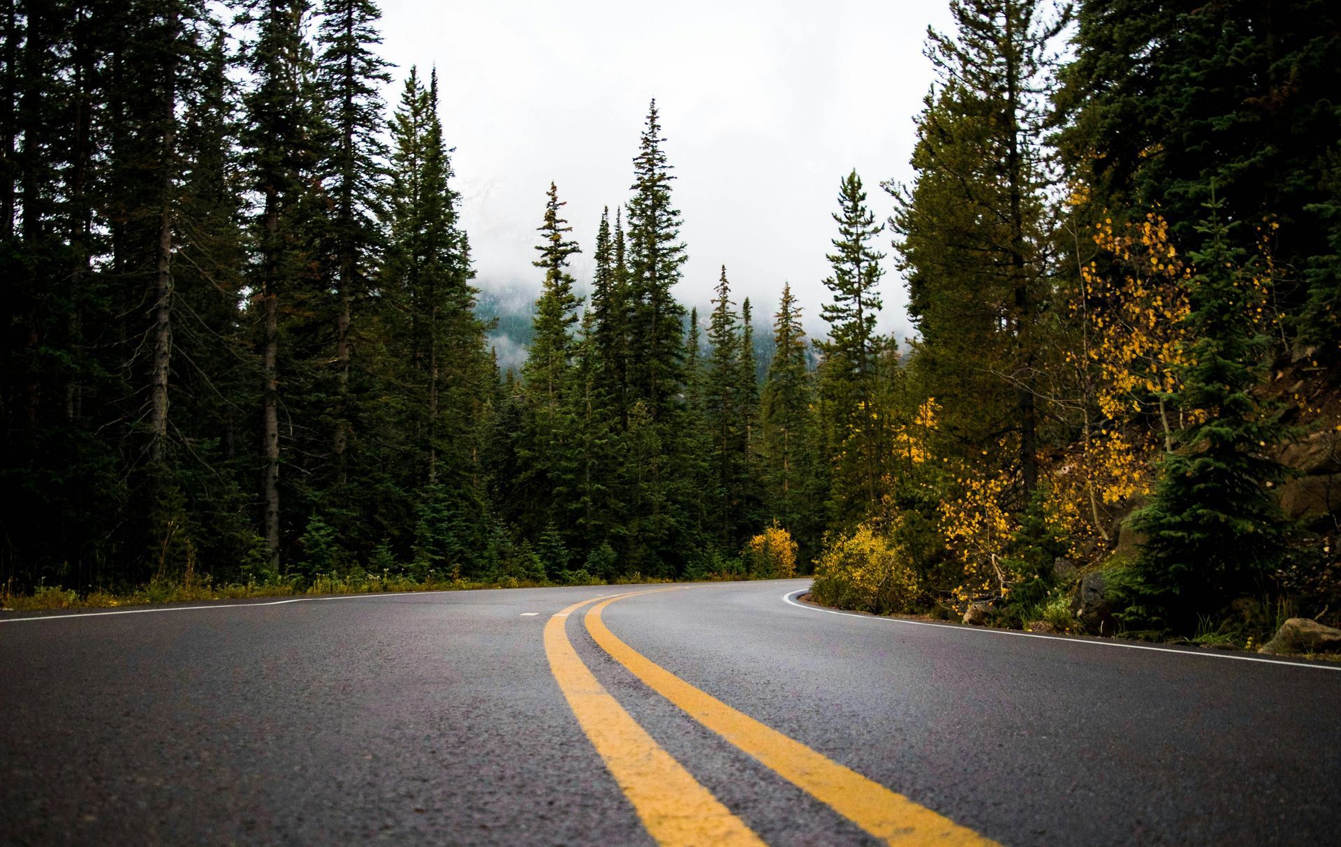 A close up of a road with two yellow lines on it.