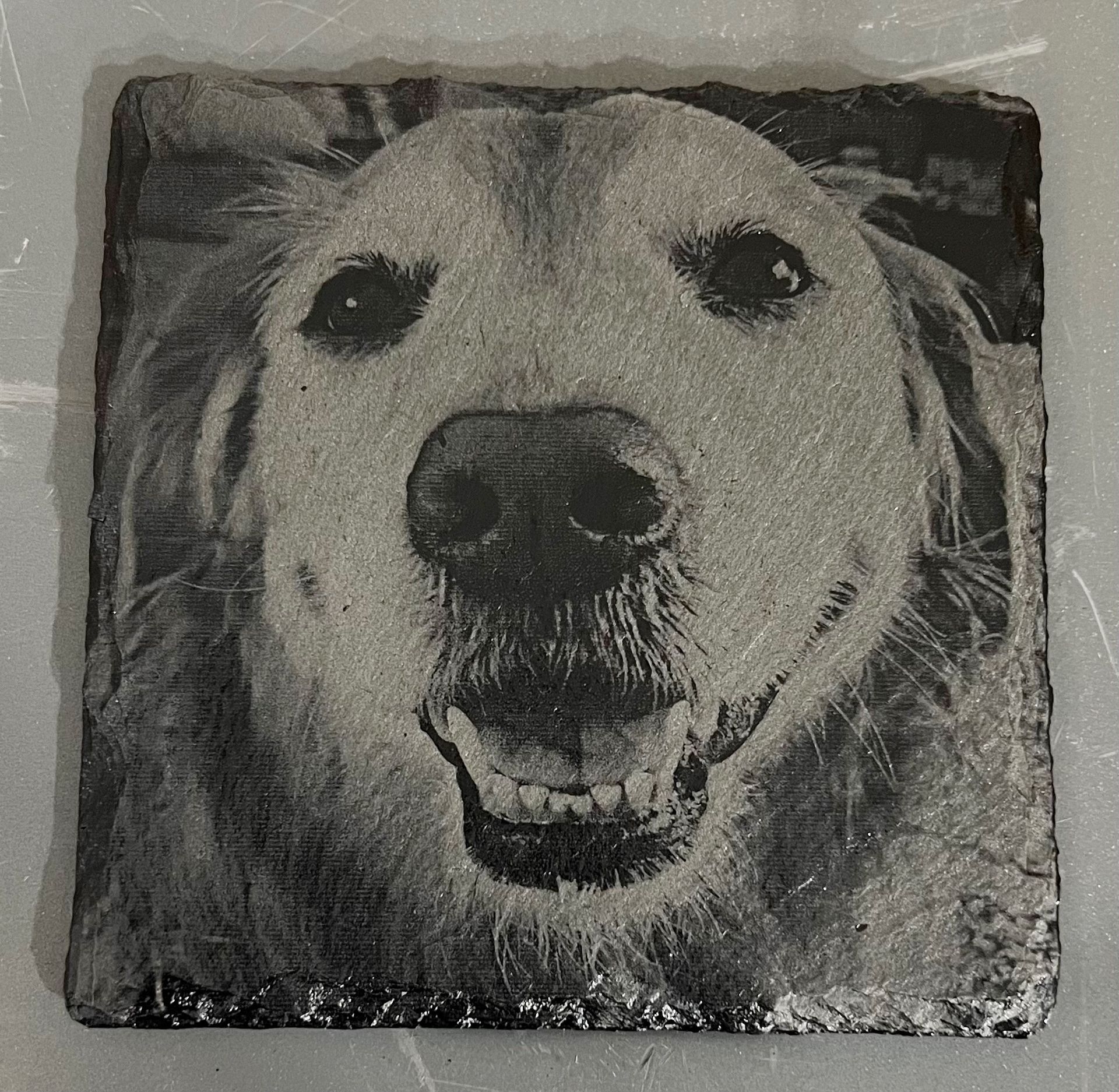 Personalized Pet Slate Coaster