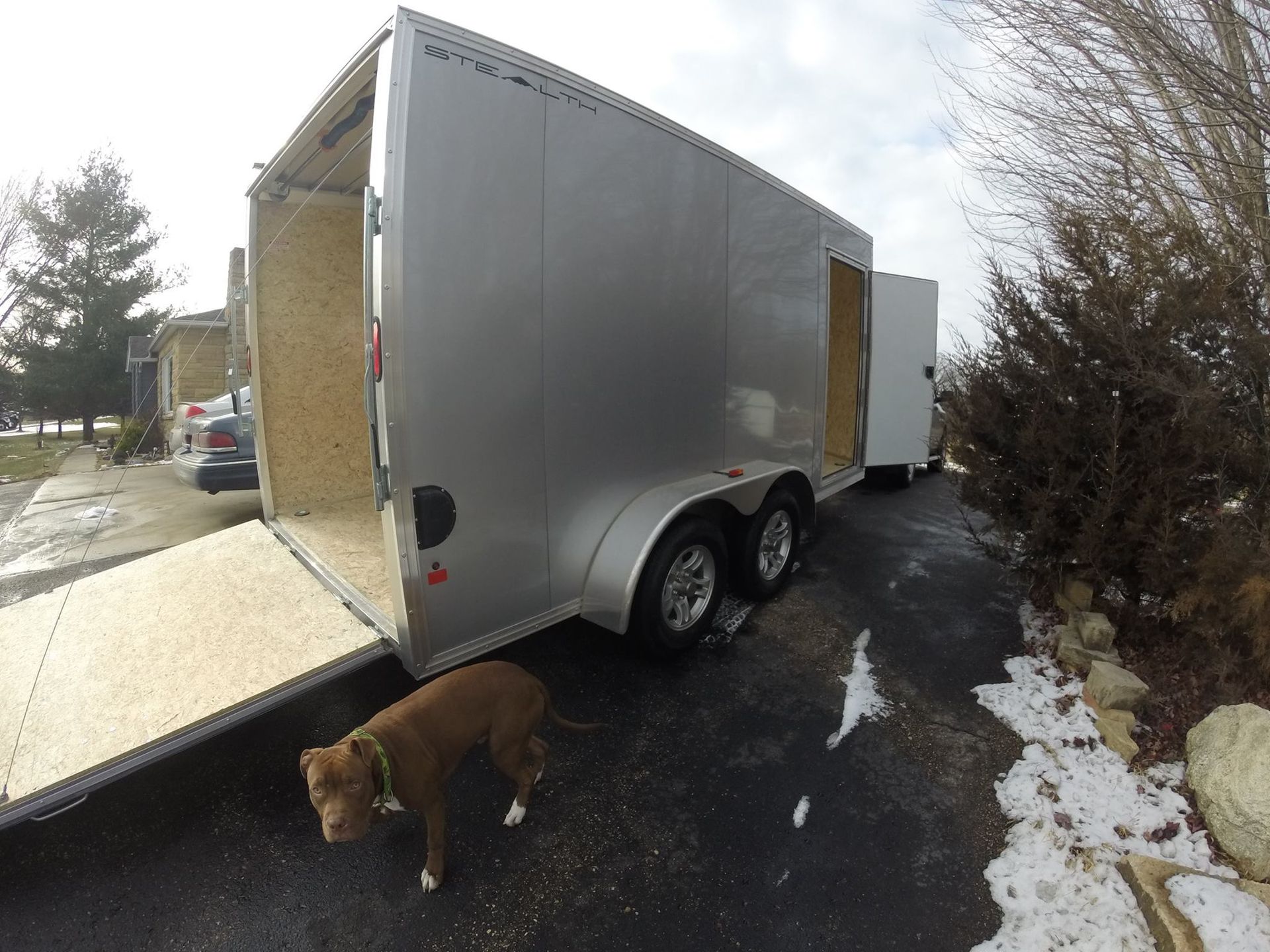 A dog is standing in front of a silver trailer