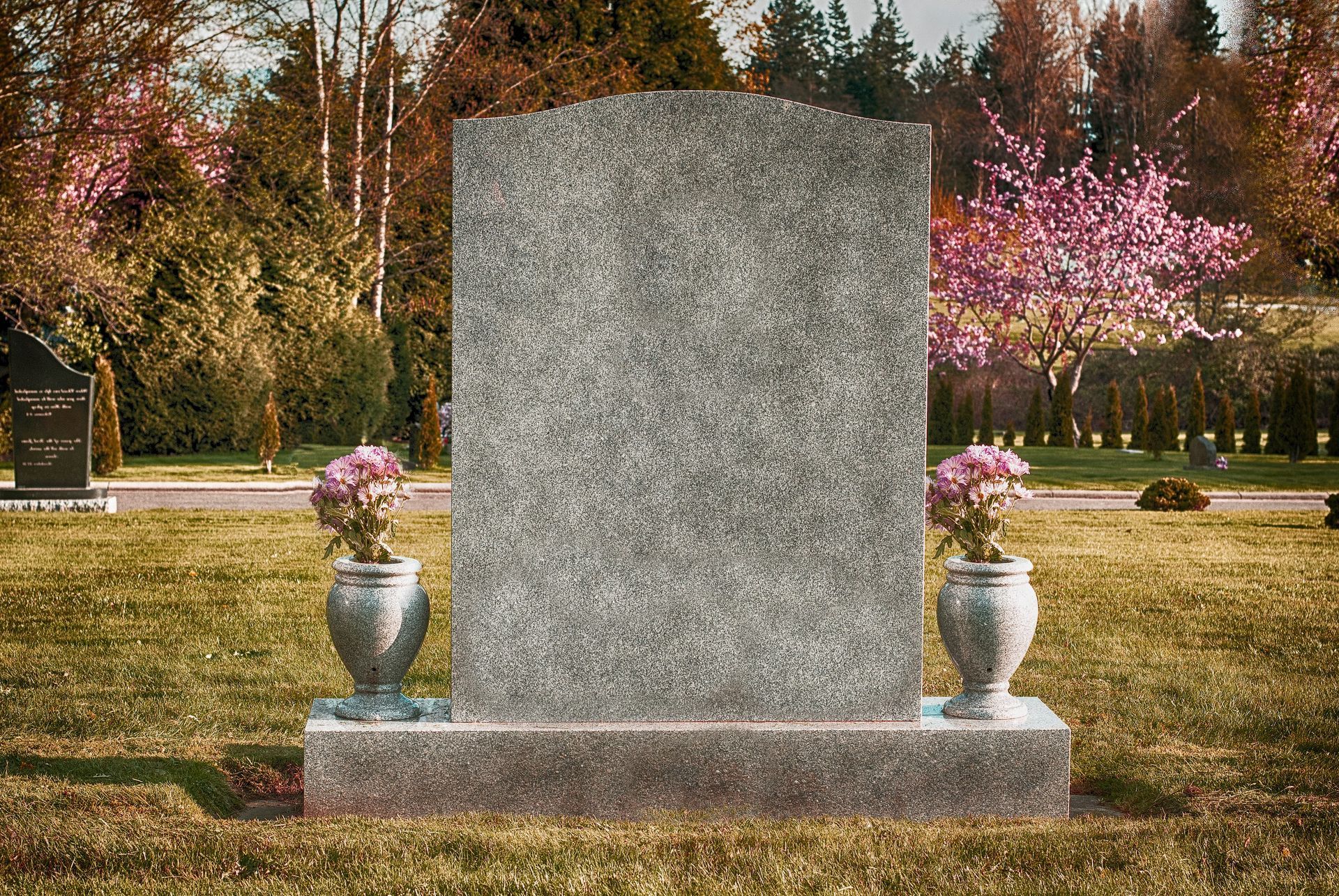 Blank tombstone in a cemetery, flanked by vases with pink flowers, trees in the background.