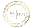 Un logotipo para una empresa llamada New Urbans Tech.