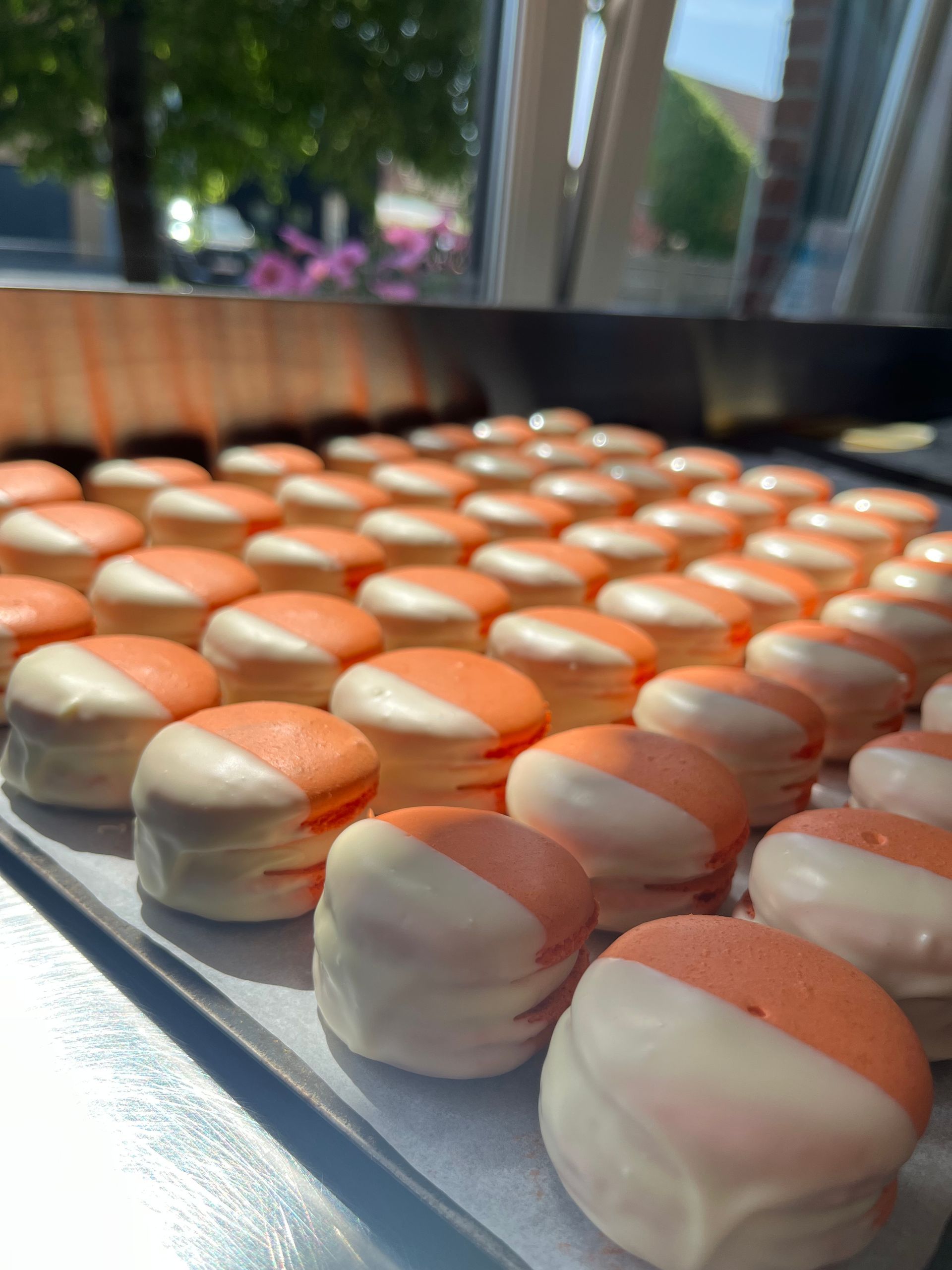 Witte chocolade x speculaas macarons