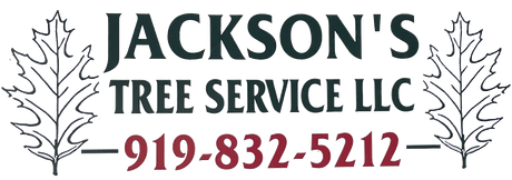 Jackson's Tree Service LLC