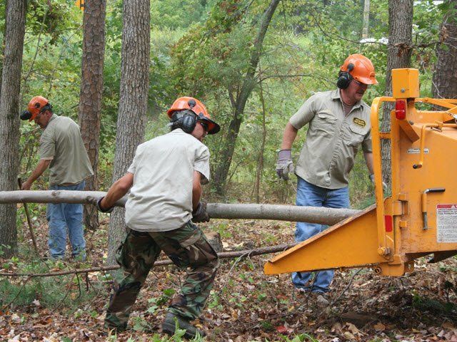 Three men wearing hard hats are working in the woods