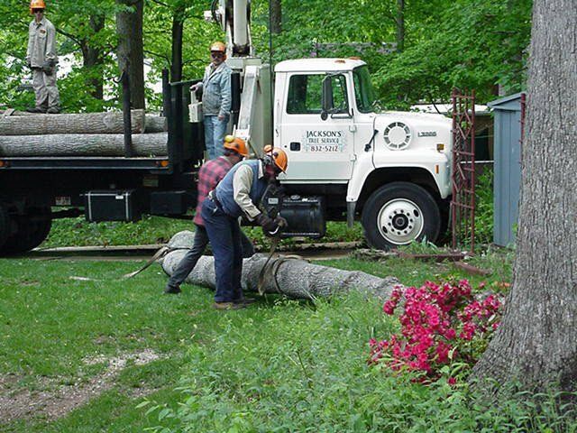 A group of men are working on a tree in front of a truck.