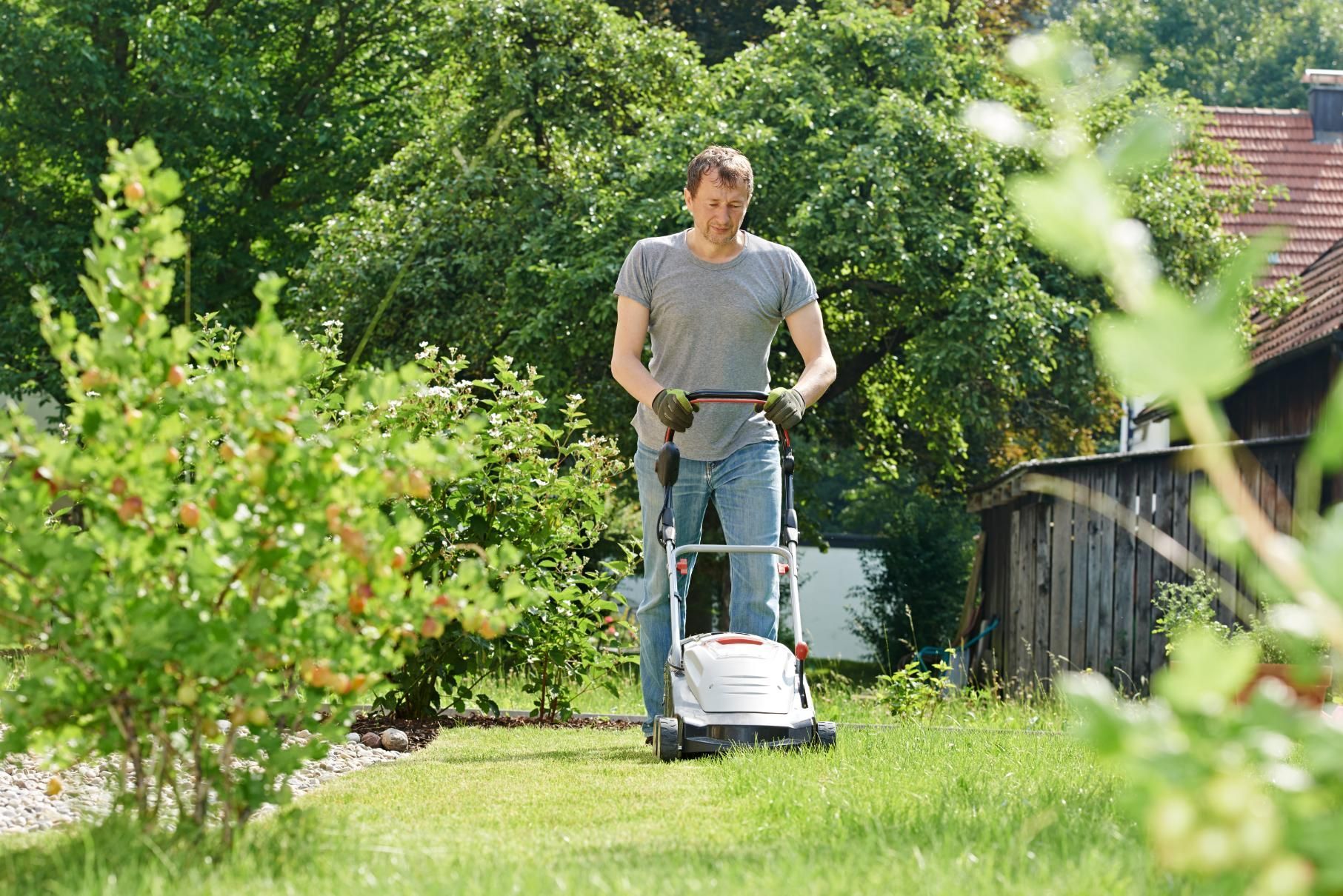 Man mowing lawn in a yard on a sunny day.