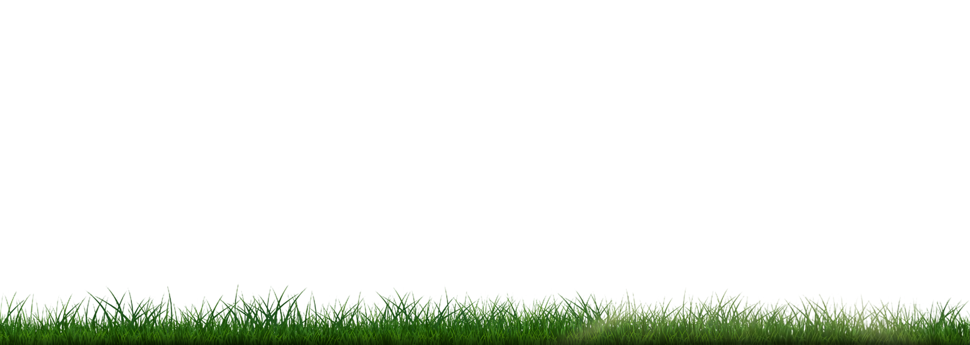 Man mowing grass with a lawnmower in a yard with green bushes and trees.