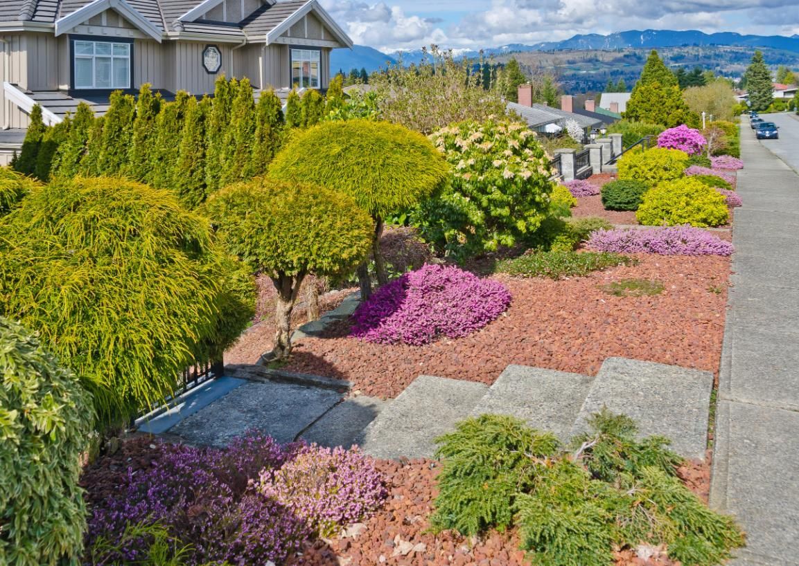 Colorful landscaped front yard with shrubs and flowers on a sunny day.
