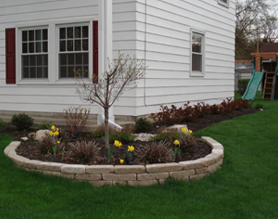 Curved flower bed with retaining wall, daffodils, and a small tree next to a white house.