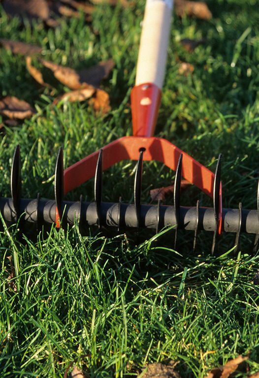 Red and black garden rake in green grass, with leaves.