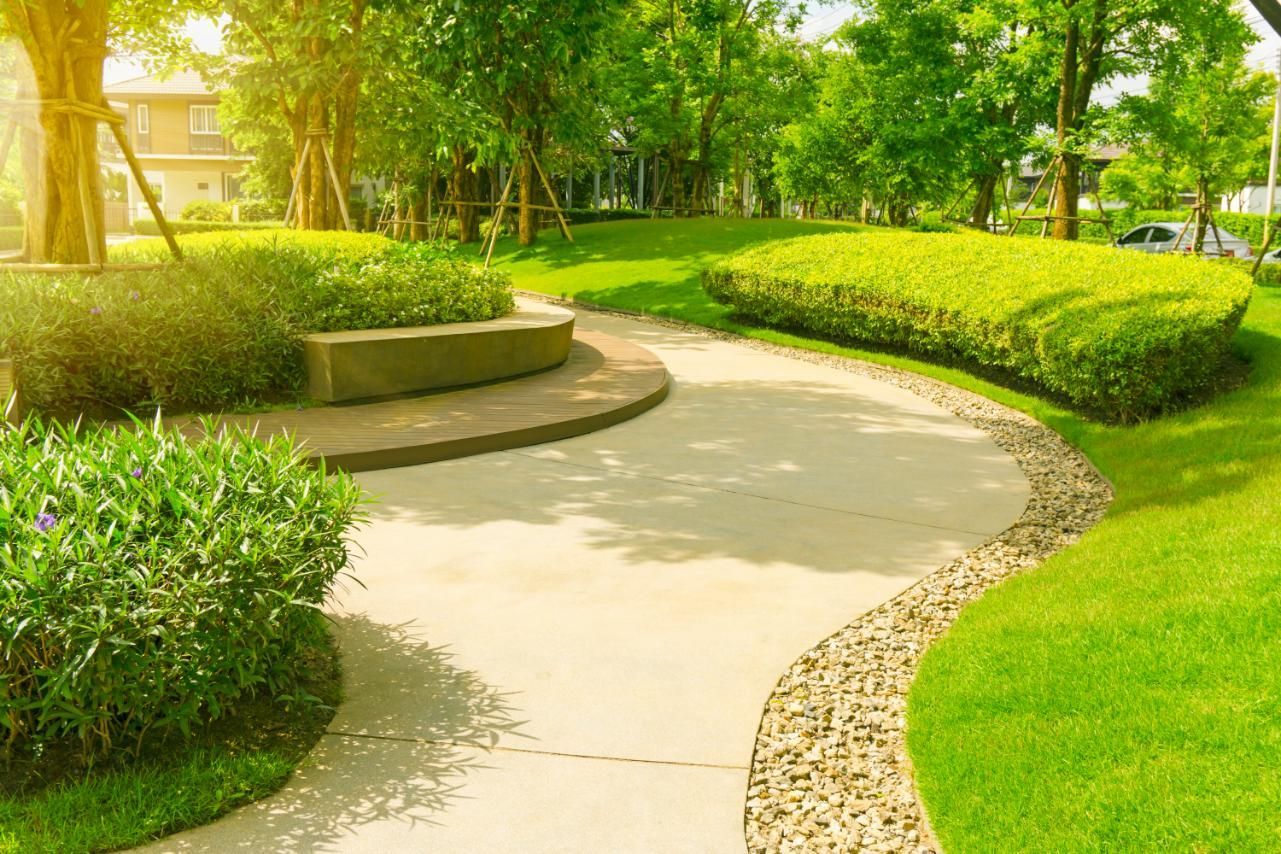 Lush garden path with green grass, shrubs, and a curved concrete walkway. Sunlight.