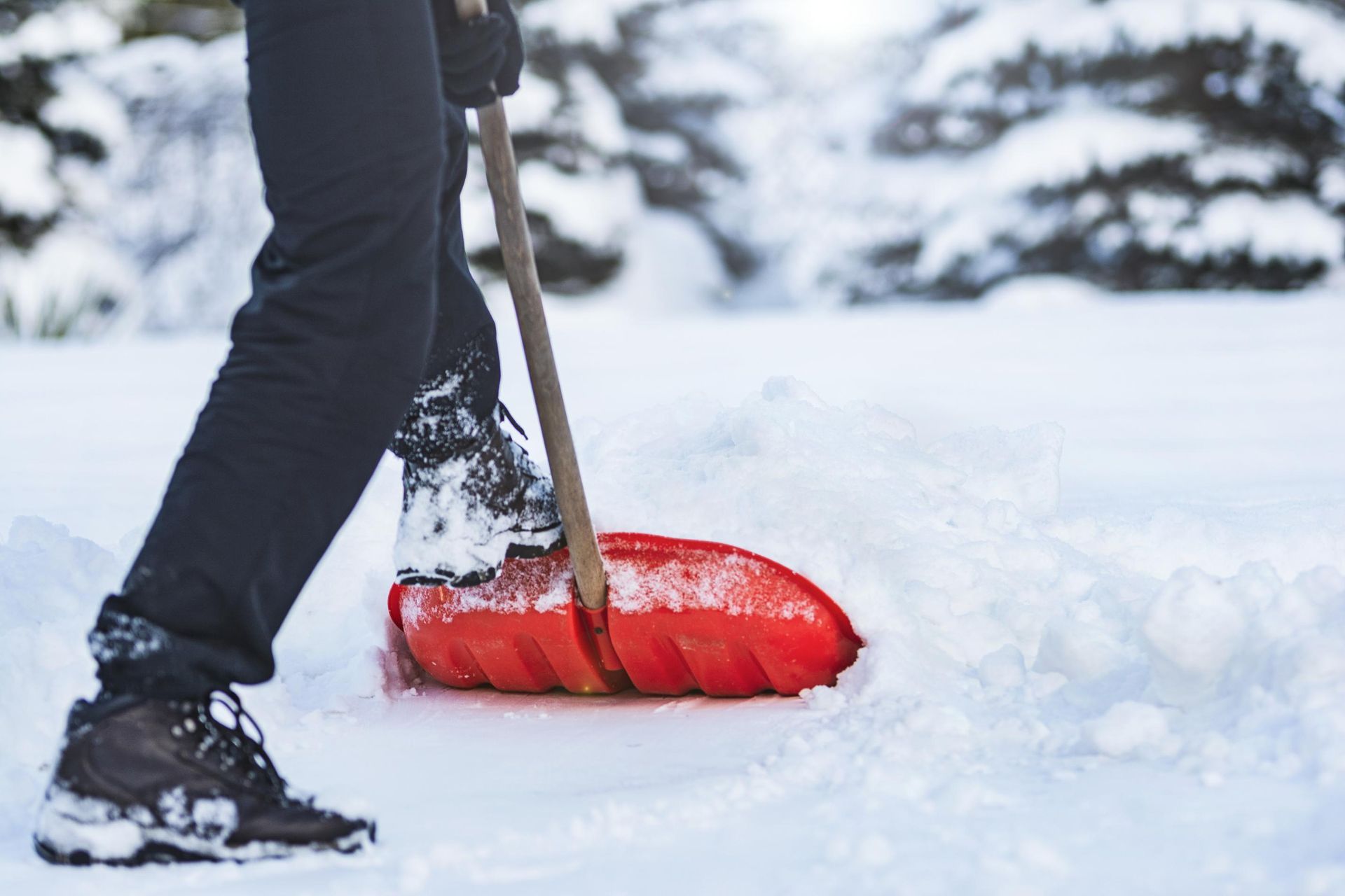 Person shoveling snow with a red shovel in a snowy outdoor setting.