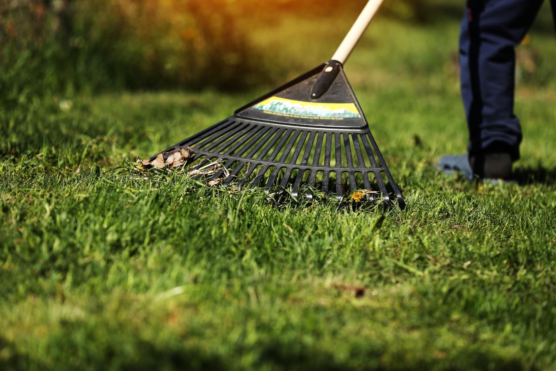 Rake moving leaves on a green lawn. Legs of person raking visible in background.