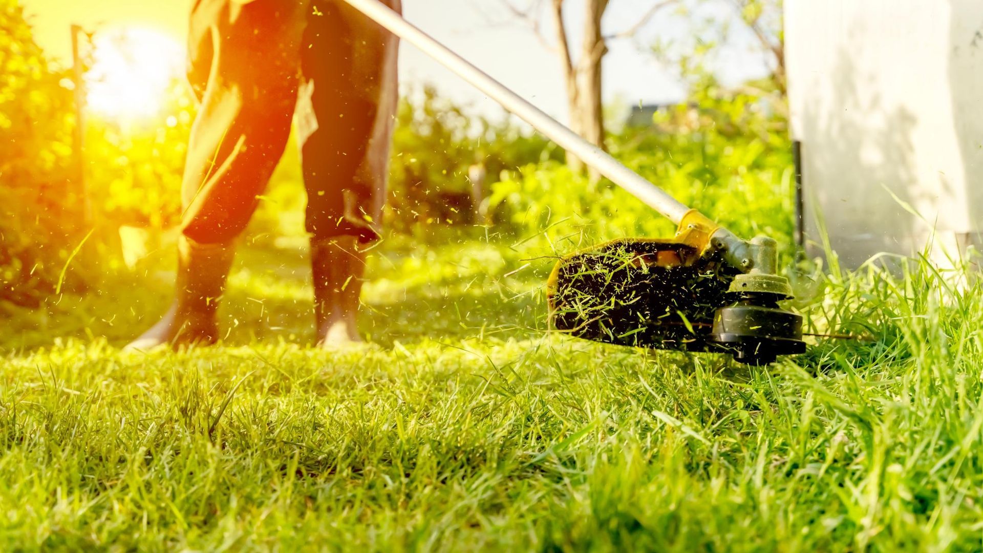 Person using a weed wacker in a sunny yard, cutting grass.