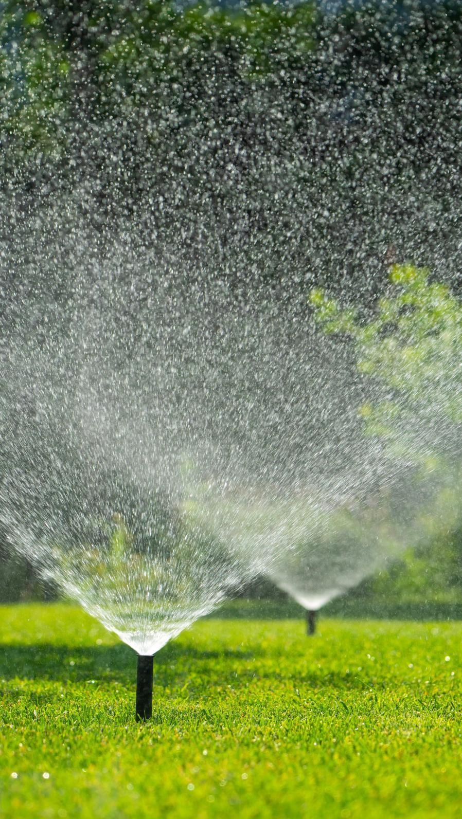 Sprinklers spraying water onto a green lawn, with trees in the background.