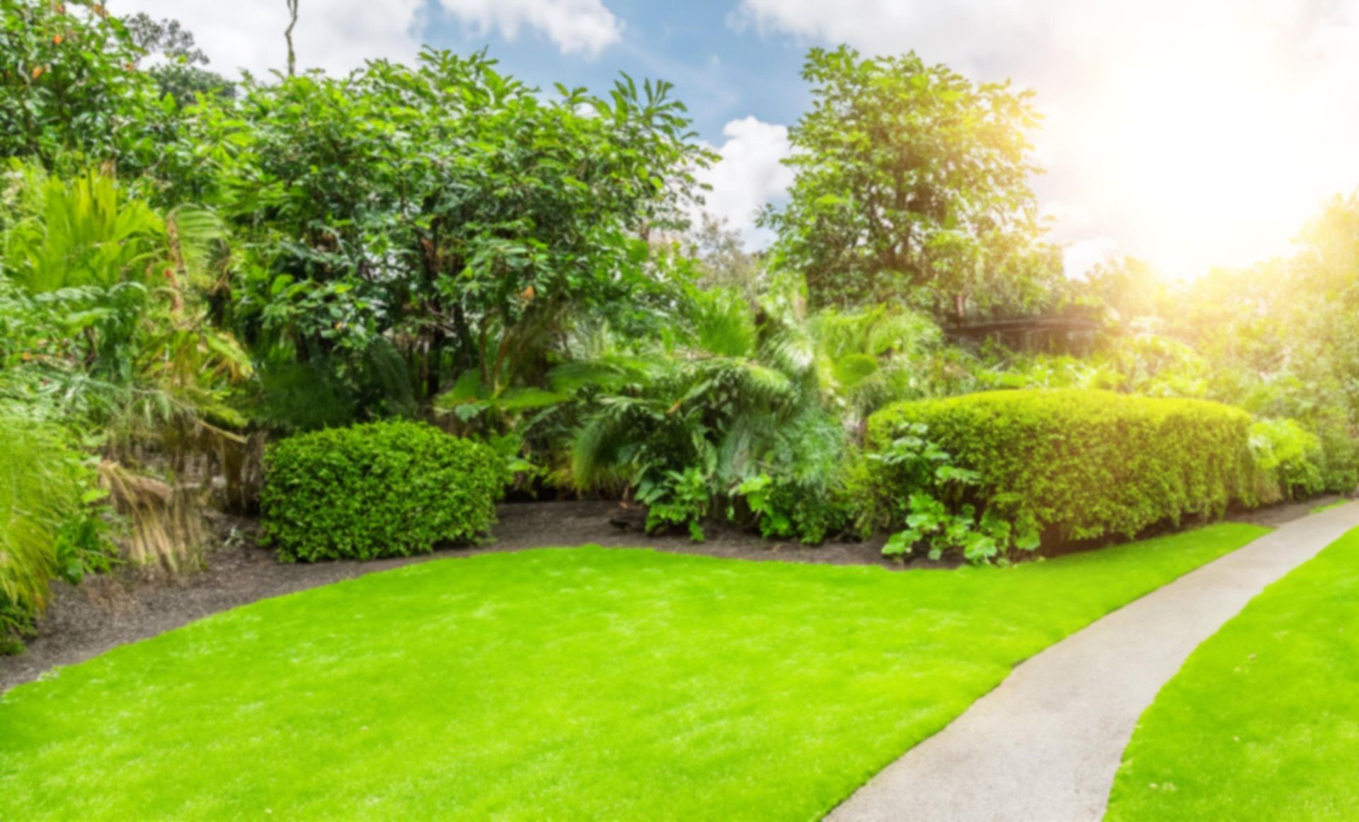Green lawn and lush garden with a pathway on a sunny day.