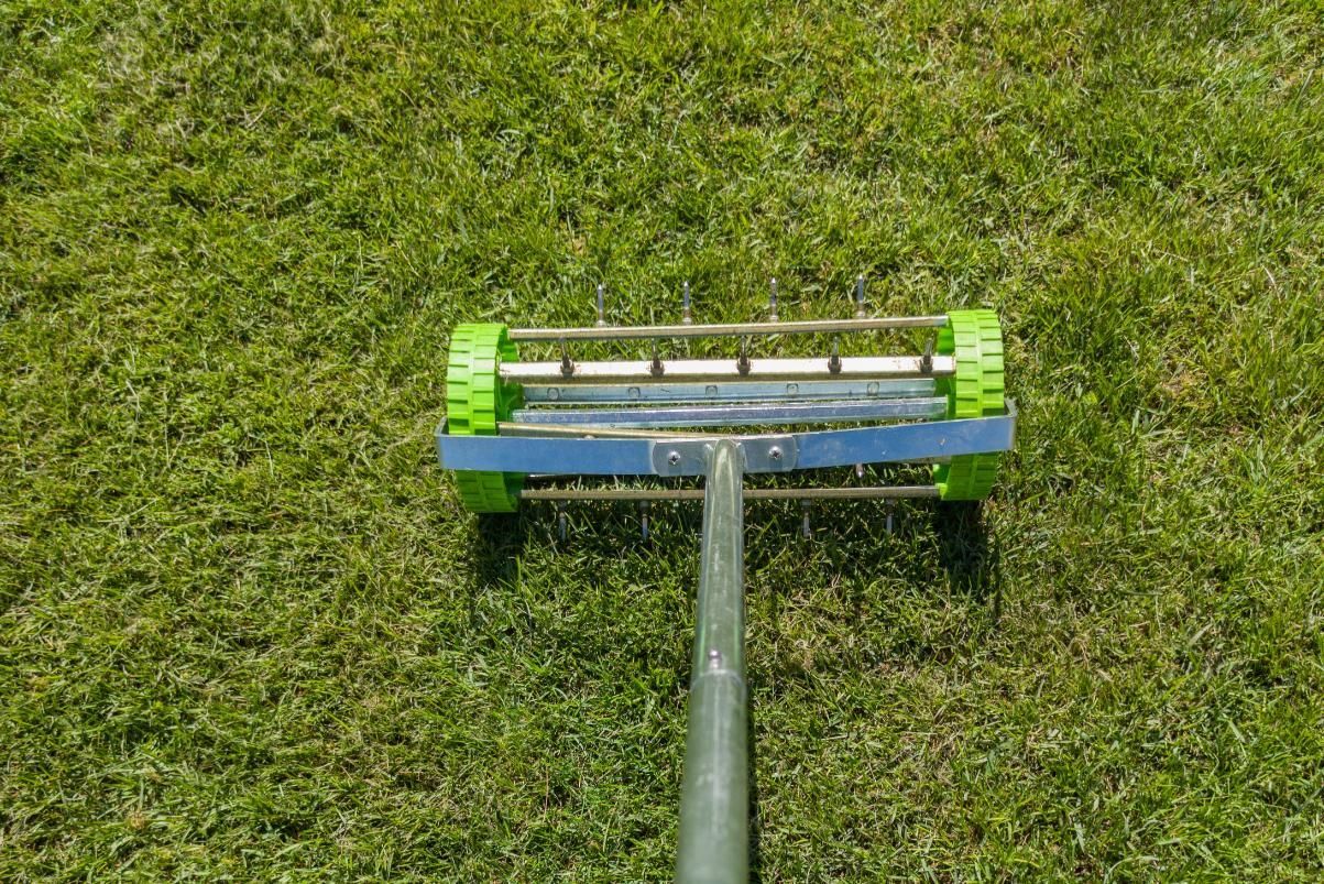 Lawn aerator on green grass. Green and blue tool with handle; sunlight.