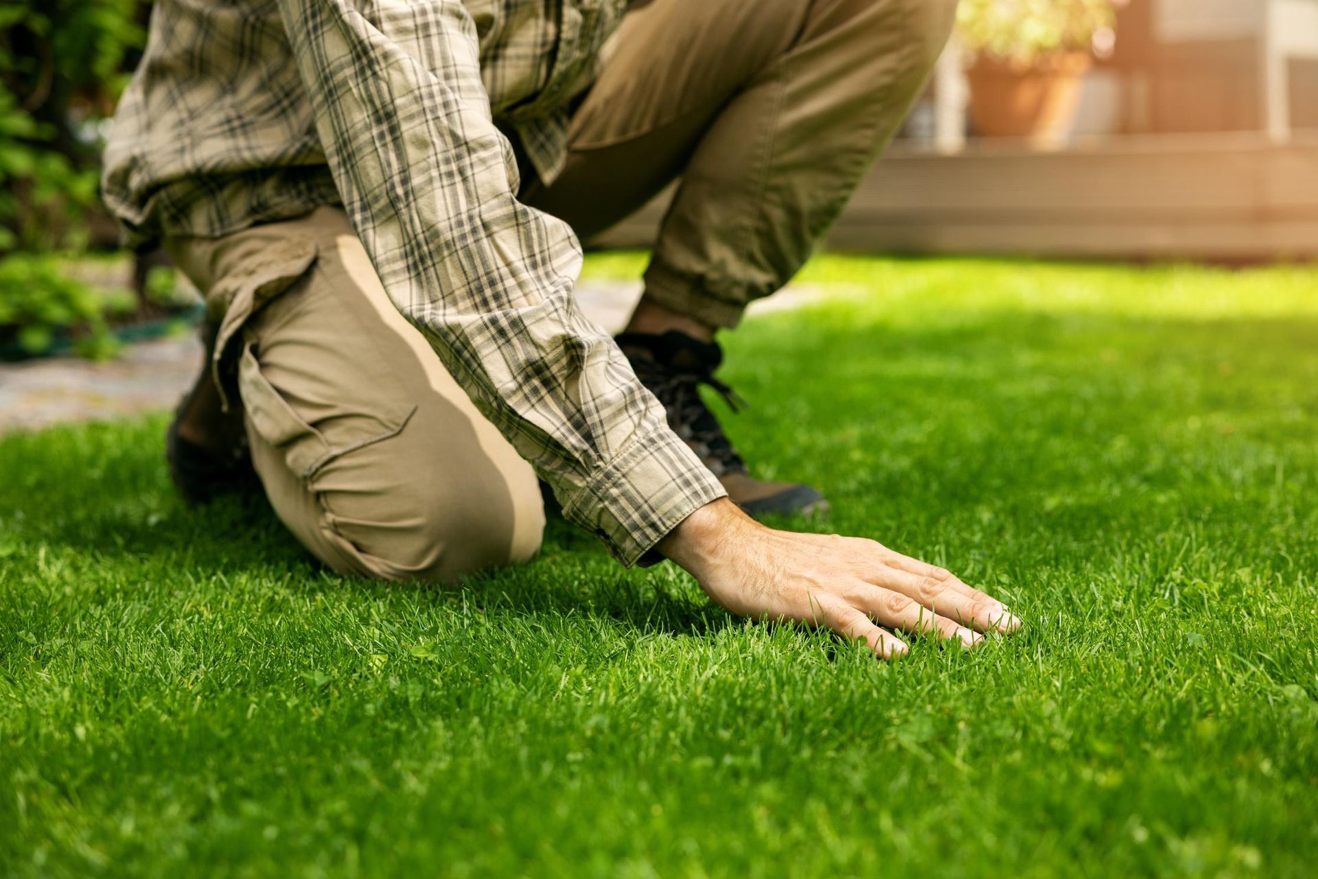 Person kneeling, touching vibrant green grass in a sunny outdoor setting.