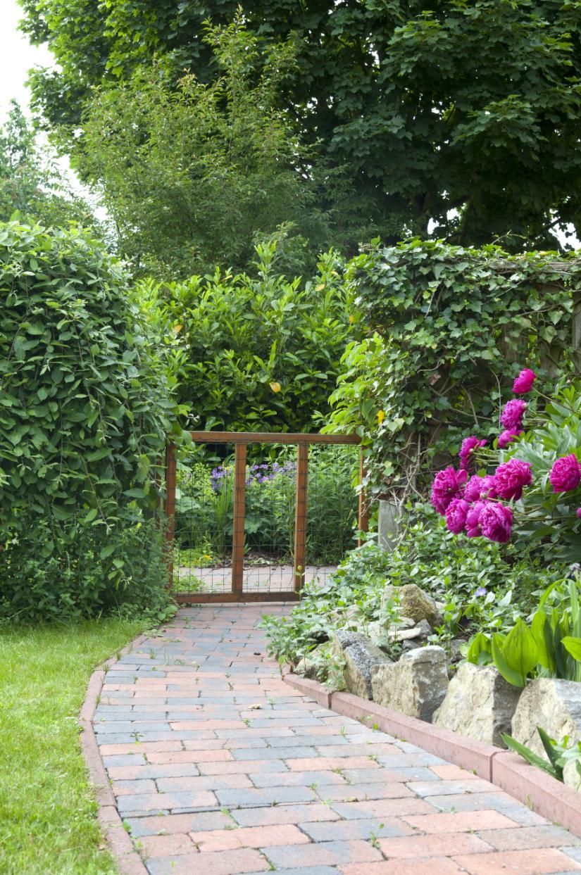 Brick pathway leading through a garden gate with lush greenery and pink flowers.