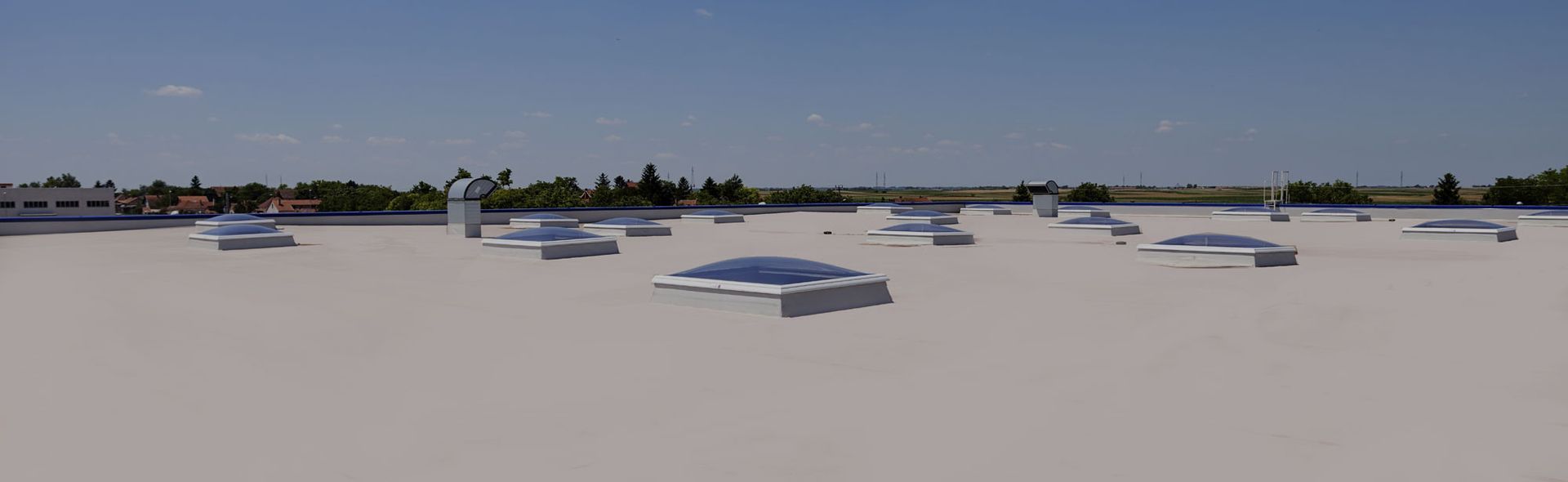 A rooftop with a lot of skylights and trees in the background.