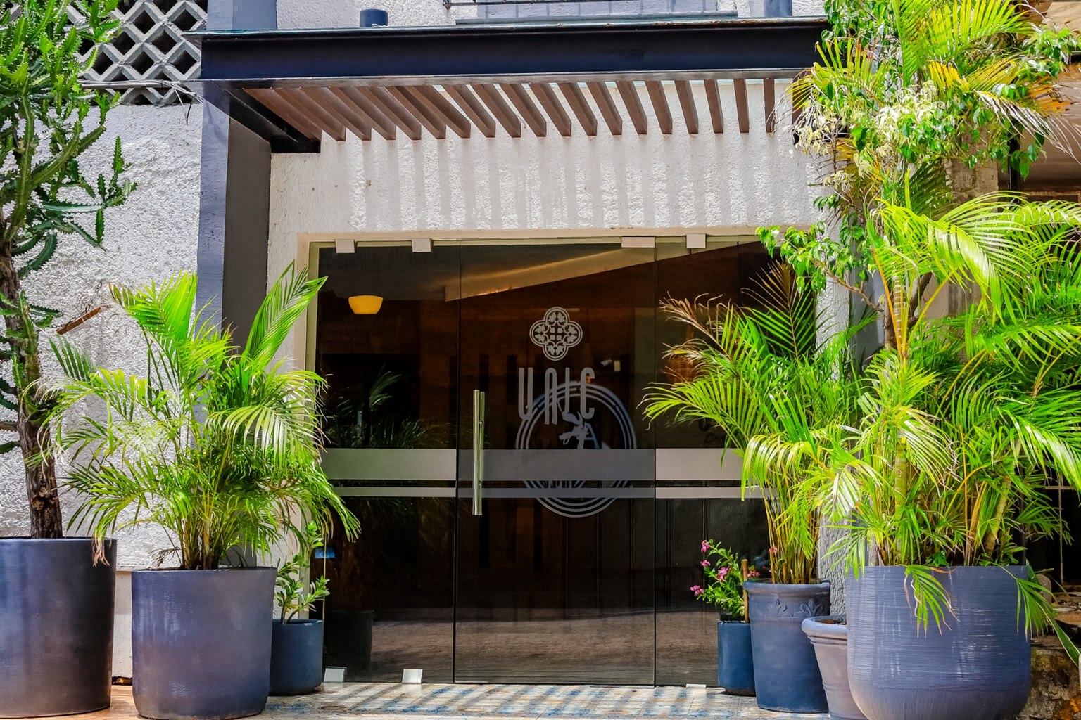 Entrance to a building with glass doors, flanked by potted plants. 