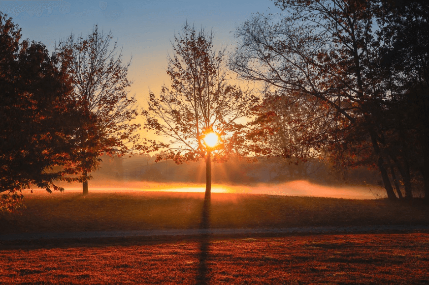 funeral homes in Annetta, TX