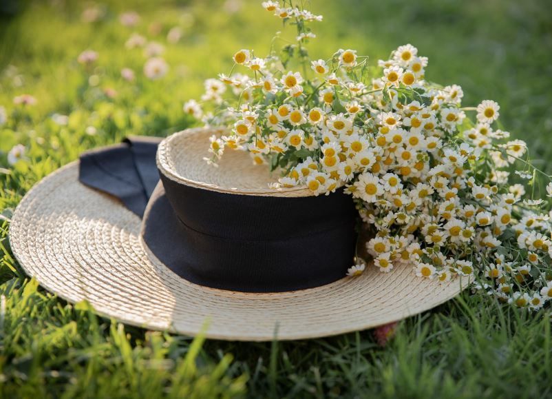 funeral homes Willow Park, TX