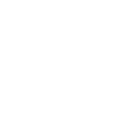 White localvee icon.