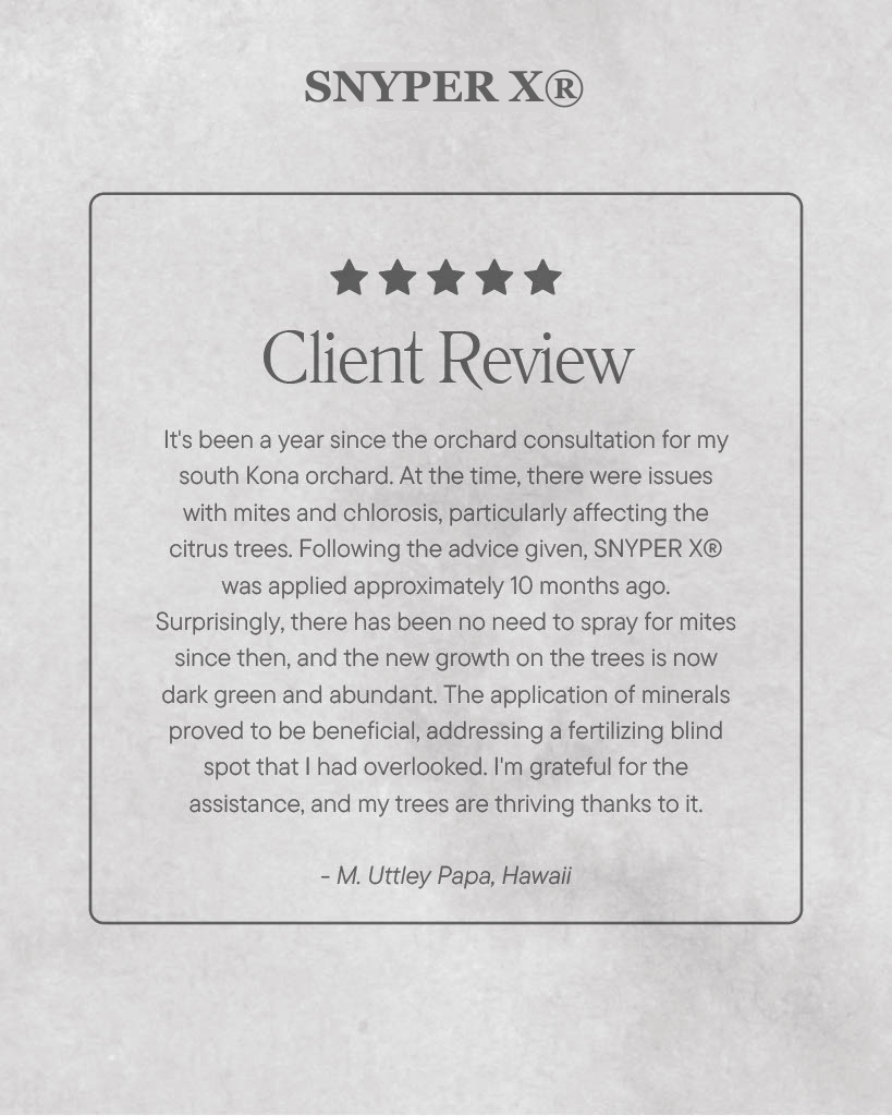 A client review for snyper xr is written on a piece of paper