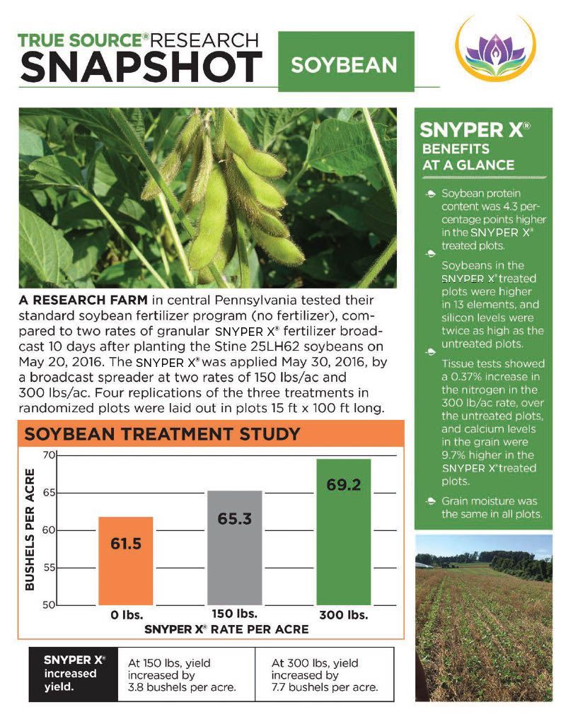 A snapshot of a soybean treatment study.