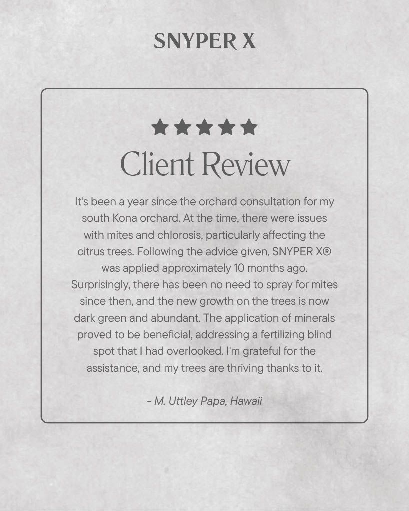 A client review for snyper x is written on a piece of paper