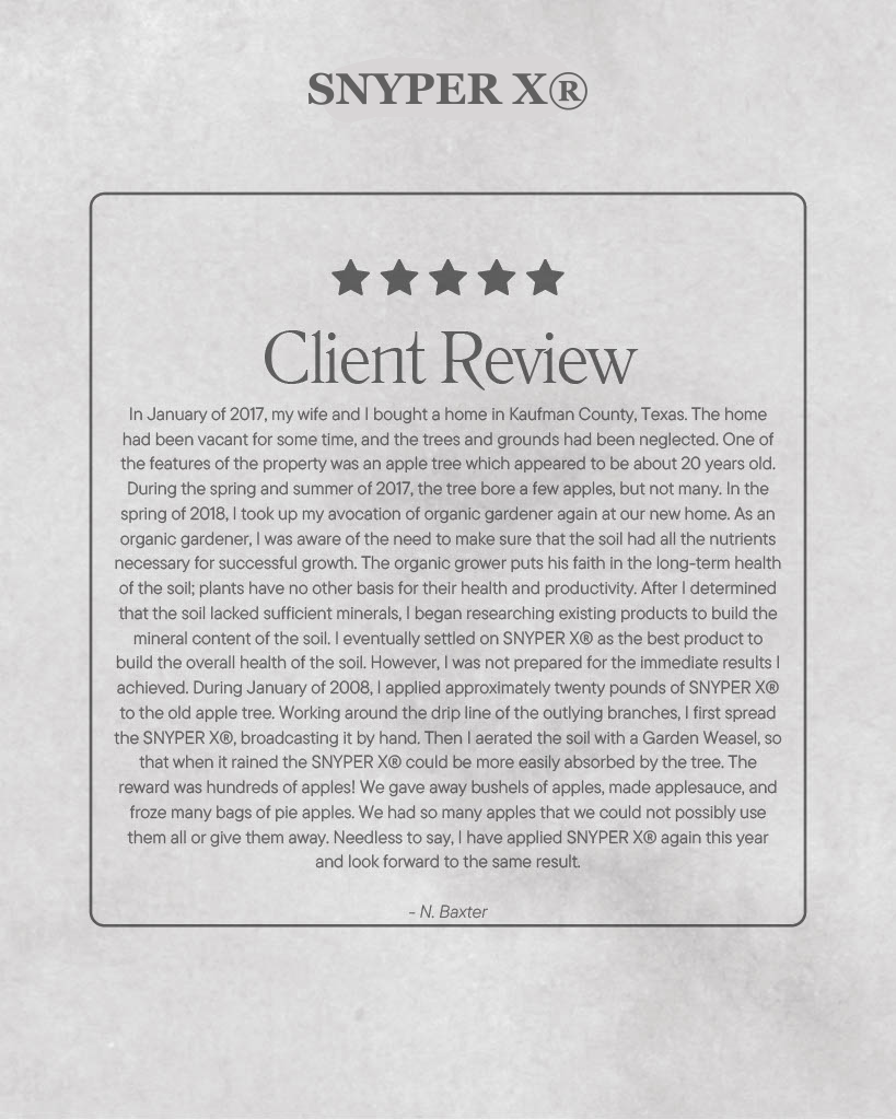 A black and white page with the words client review on it