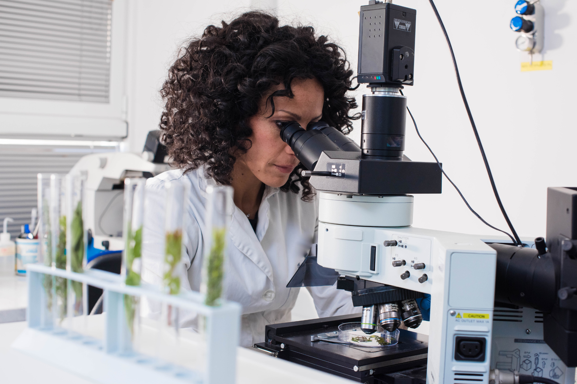 A woman is looking through a microscope in a laboratory.