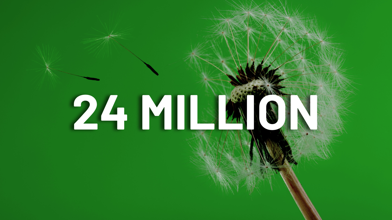 A dandelion is blowing in the wind on a green background.