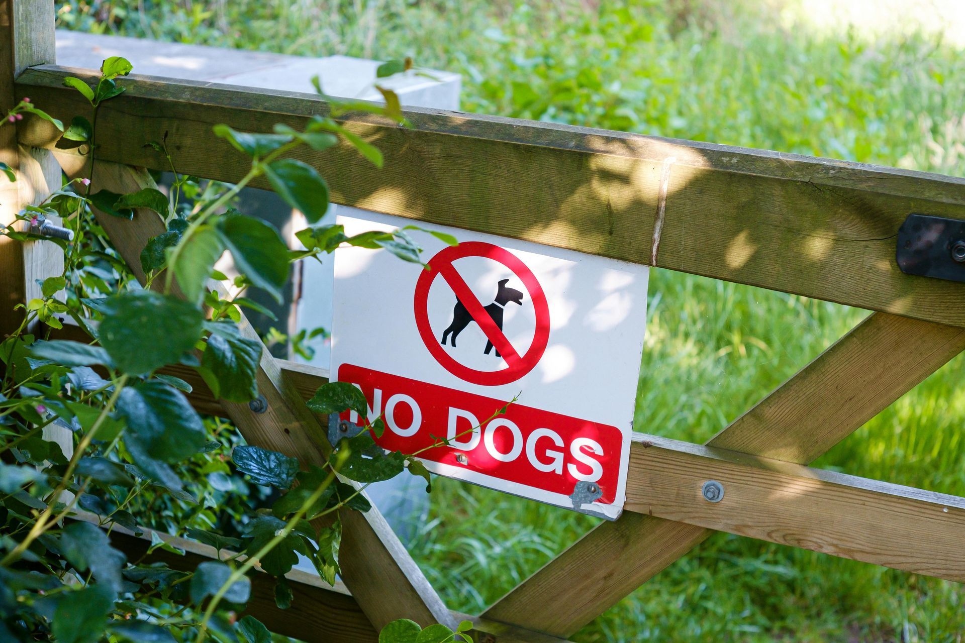 A no dogs sign is attached to a wooden gate.