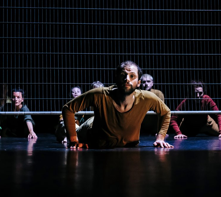 !MPACT Dansgezelschap