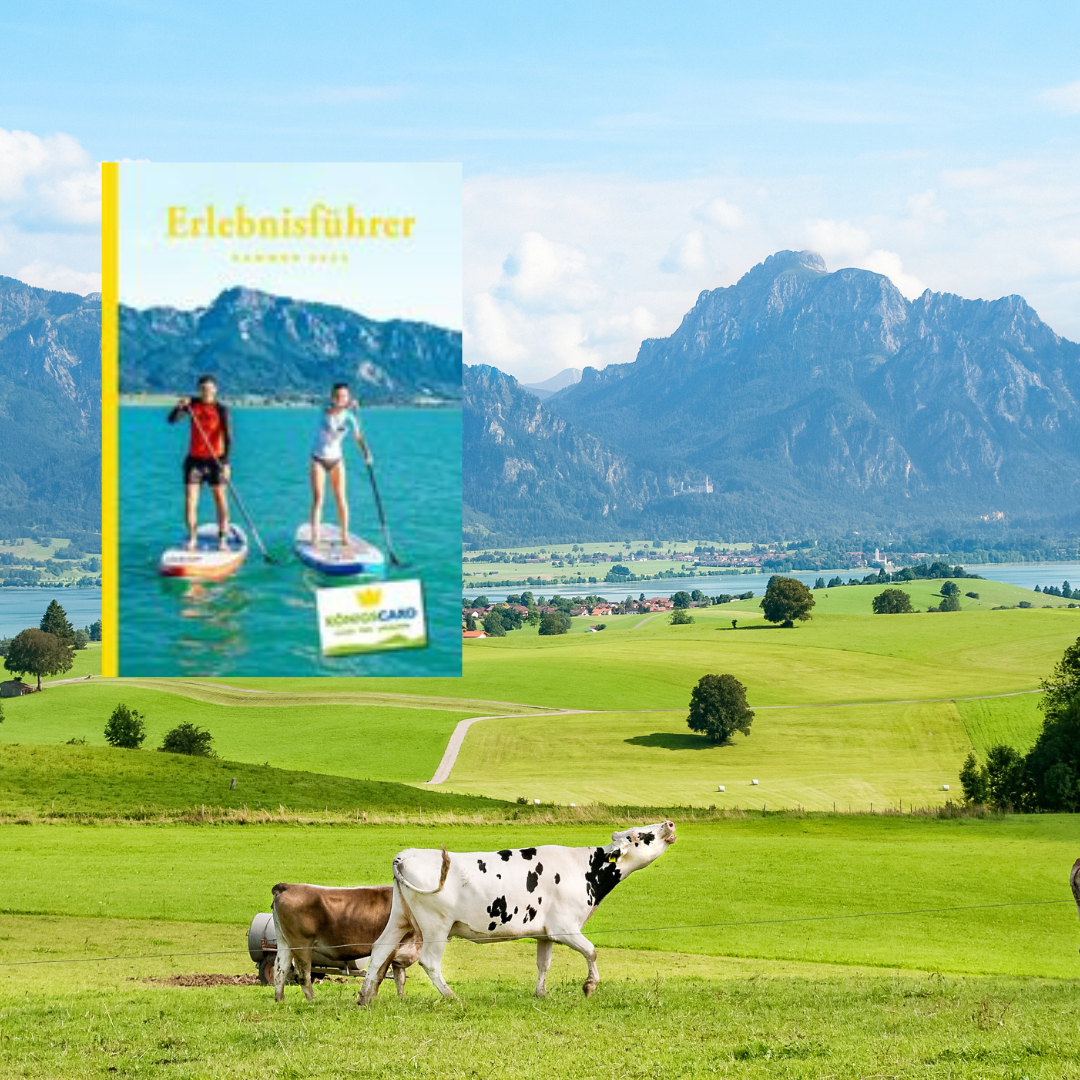 Ein Buch mit dem Titel „Erlebnisführer“ mit einem Bild von Menschen auf Paddle-Boards